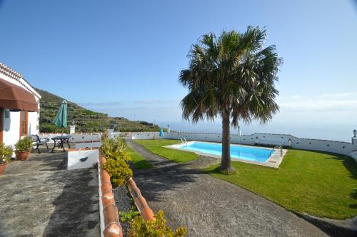 a swimming pool with a palm tree next to a building at Simón in Barlovento