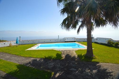 a swimming pool with a palm tree in front of a building at Simón in Barlovento
