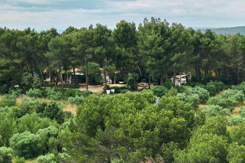 Vue aérienne d'une forêt d'arbres dans l'établissement La Planque des Alpilles, à Fontvieille