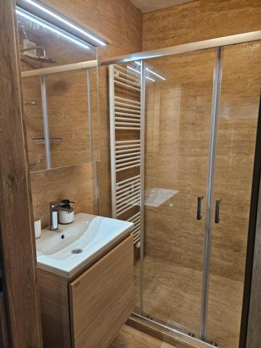 a bathroom with a shower and a sink at Apartmány Skalica in Skalica