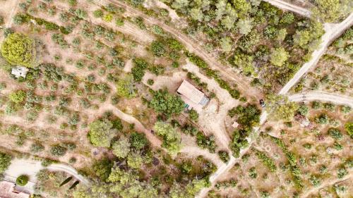 Gallery image of Beautiful 17th century Bastidon in Provence in Draguignan