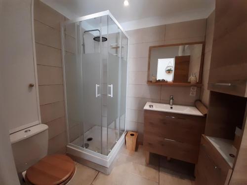 Un baño con ducha, inodoro y lavabo. en La Bergerie, en Lorgues