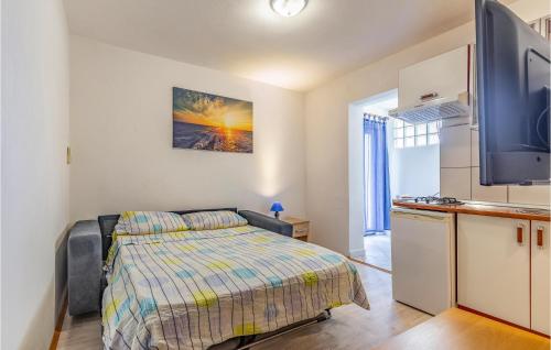 Pet Friendly Apartment In Medulin With Wifi