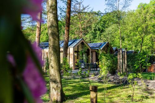 a cabin in the woods with purple flowers at Résidence Lage Vuursche in Lage-Vuursche