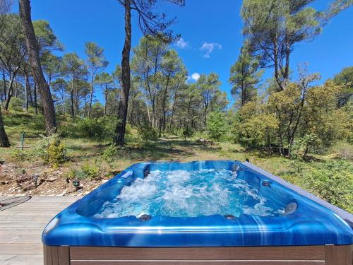 La Pinède de Venelles Jacuzzi privatif