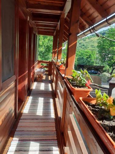 a porch of a house with potted plants on it at Casa ,,Kiss-lak,, in Praid