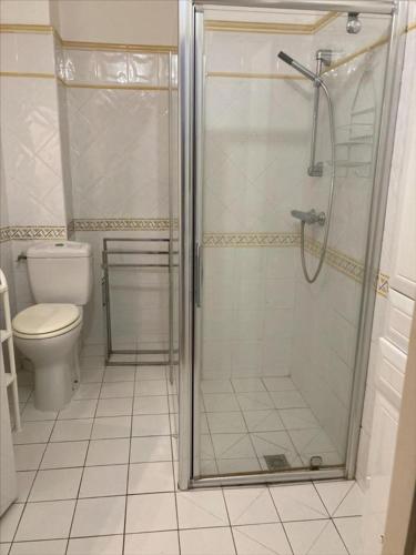 une salle de bain avec douche et toilettes dans l'établissement Studio climatisé 2 personnes avec terrasse et piscine, à Sainte-Maxime