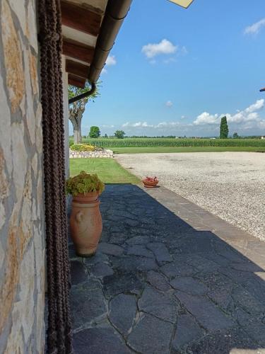 a porch of a house with a plant in a pot at casa giulietta in Lozzo Atestino