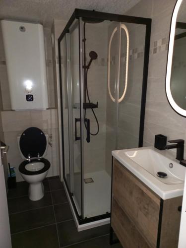 une salle de bain avec toilettes, douche et lavabo dans l'établissement Duplex Port Hyères Plage Vue Hippodrome, à Hyères