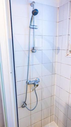 une douche avec un tuyau dans une salle de bain dans l'établissement calm retreat near Montrouge, à Villejuif