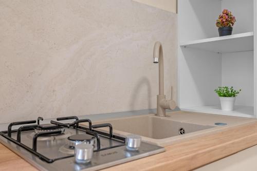 a kitchen with a stove and a sink at CORAL Studio in Eforie Nord