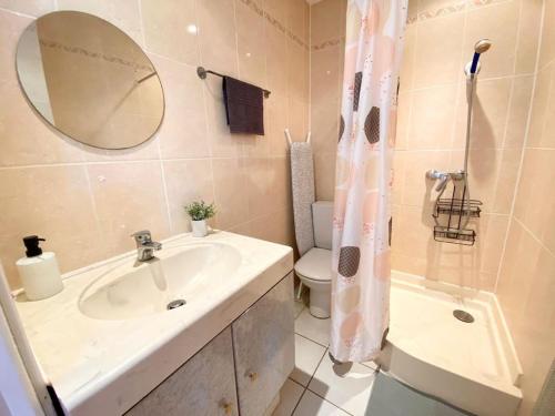 une salle de bain avec un lavabo, des toilettes et un miroir dans l'établissement Superbe studio en hypercentre, à Tours