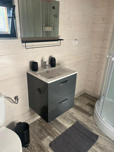 a bathroom with a sink and a mirror at Chatka Daisy A,B in Pakoštane