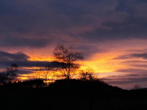 a sunset with a tree on a hill at Fewo NATURgeTREU in Medebach