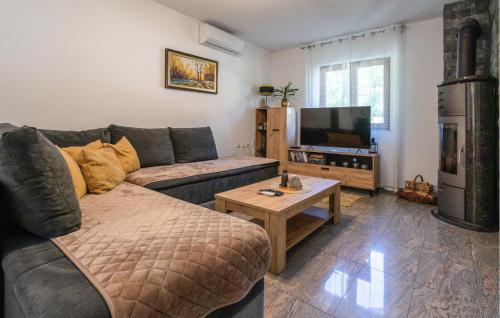 a living room with a couch and a tv at Nice Home In Brestovac With Sauna in Novo Zvecevo