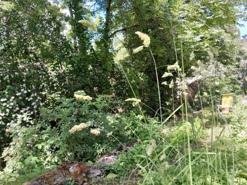 Taman di luar Le Petit Célé appartement T1 équipée