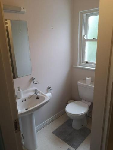 a white bathroom with a toilet and a sink at House Bunratty Castle gardens in Bunratty