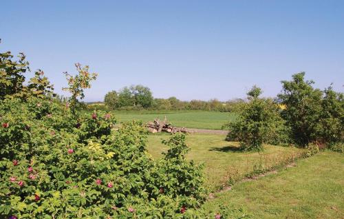 a field with some bushes and trees in a field at Holiday Home Stoense Udflyttervej in Skattebølle