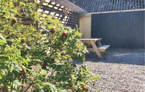 a wooden bench in a garden with an apple tree at Holiday Home Stoense Udflyttervej in Skattebølle