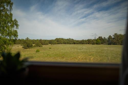 a view from a window of a field with trees at Vēju Paradīze in Pāvilosta