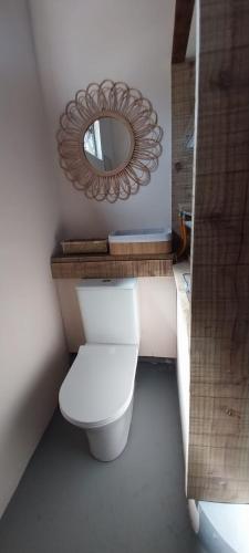 a bathroom with a white toilet and a mirror at The Voyager lodge in Port Mathurin