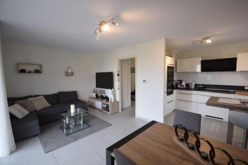 un salon et une cuisine avec un canapé et une table dans l'établissement Appartement Sélestat, à Sélestat