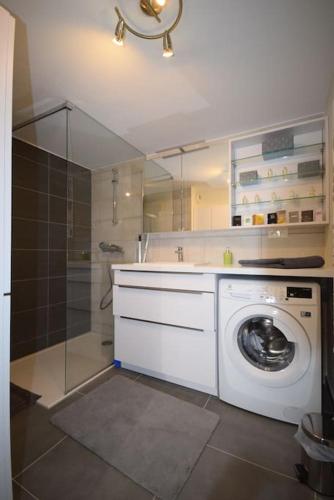 La salle de bains est pourvue d'un lave-linge et d'une douche. dans l'établissement Appartement Sélestat, à Sélestat
