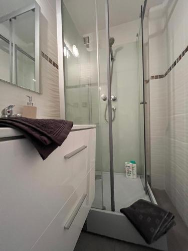 une salle de bain avec douche et lavabo dans l'établissement Le Scandinave, cosy et lumineux, proche GE-Alstom-UTBM, PrimeVideo, Wifi, à Belfort
