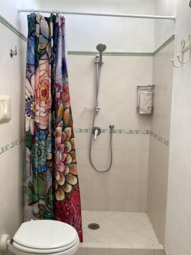 a bathroom with a shower with a toilet and a shower curtain at Casetta Minghitto Relaxing rooms in Capri in Anacapri