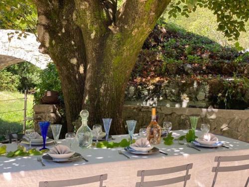 une table avec des assiettes, des verres et un arbre dans l'établissement Le Moulin, à Saint-Vallier-de-Thiey