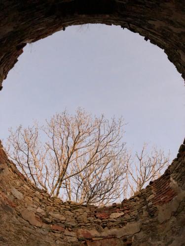 a window in a brick wall with trees in the background at Grudza83 Bikepoint in Mirsk