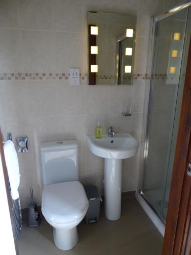 a bathroom with a toilet and a sink at Tidal Heights in Padstow