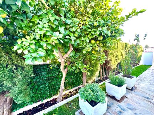 Villa CasaCara Marbella beachside Costabella -Spain photo 90