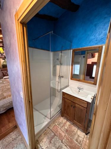 a bathroom with a shower and a sink at Casa Rural La Cuca in Lerín