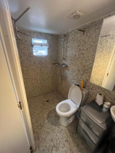 une petite salle de bain avec toilettes et douche dans l'établissement Maisonnette de 34m2 proche de la Gare, à Houilles