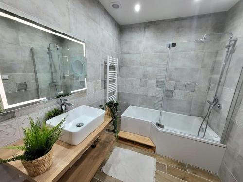 une salle de bain avec une baignoire, un lavabo et une douche dans l'établissement Romance studio hyper centre, à Saint-Étienne