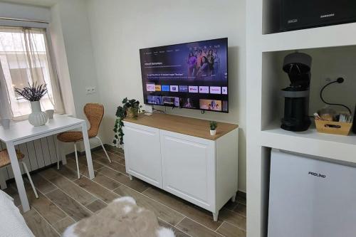 un salon avec une télévision à écran plat sur un mur dans l'établissement Romance studio hyper centre, à Saint-Étienne