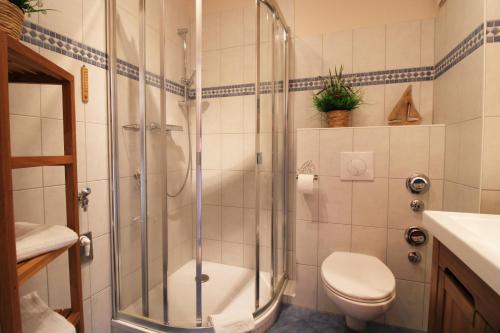 a bathroom with a shower and a toilet at Villa Rosita Fewo 5 - SANDKÖRNCHEN in Rerik