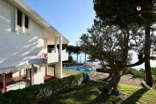 a house with a tree and a swimming pool at Villa Nella - WelcHome in Marina di San Vito