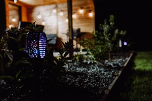 a blue light in a garden at night at Regielskie Chaty in Regiel