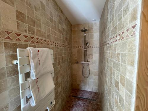 La salle de bains est pourvue d'une douche et de murs carrelés. dans l'établissement La Closerie de l'Aventure, à Cheverny