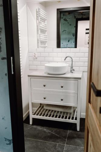 a bathroom with a white sink and a mirror at Regielskie Chaty in Regiel