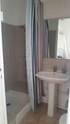 une salle de bain avec un lavabo et un rideau de douche dans l'établissement Jolie studio sud jardin et parking privatif, à Hyères