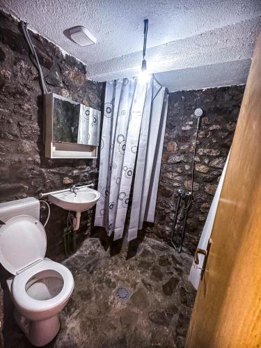 a stone bathroom with a toilet and a sink at Kužina in Plav