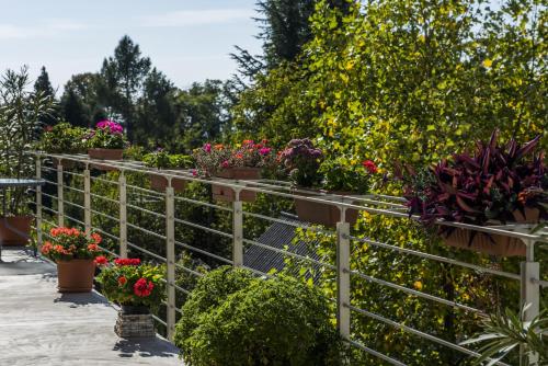 Giardino di Feng Shui Wellness Apartmanház Hévíz