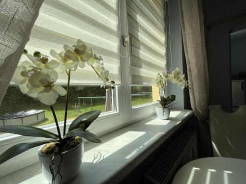 Φωτογραφία από το άλμπουμ του gemütliche kleine Ferienwohnung in Altenberg σε Kurort Altenberg