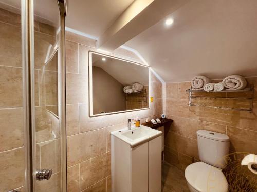 a bathroom with a toilet and a sink and a shower at Tumbleweed Cottage in Newark upon Trent