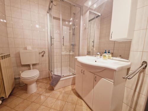 a bathroom with a toilet and a shower and a sink at Ferienwohnung Andritsch in Sankt Georgen im Gailtal