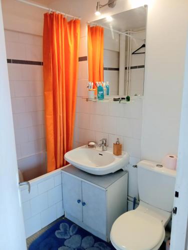 une salle de bain avec toilettes et lavabo dans l'établissement jolie studio à paris 12 em, à Paris
