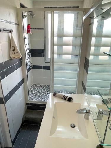 une salle de bain avec un lavabo et une douche dans l'établissement Appartement en duplex entre Paris et Versailles, à Chaville